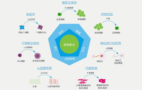 全新安捷倫Seahorse XF底物氧化壓力測試產(chǎn)品 推動自然科學研究與試驗發(fā)展